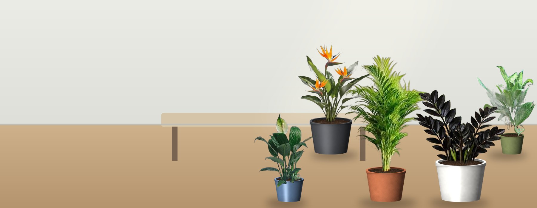 Plants in an office