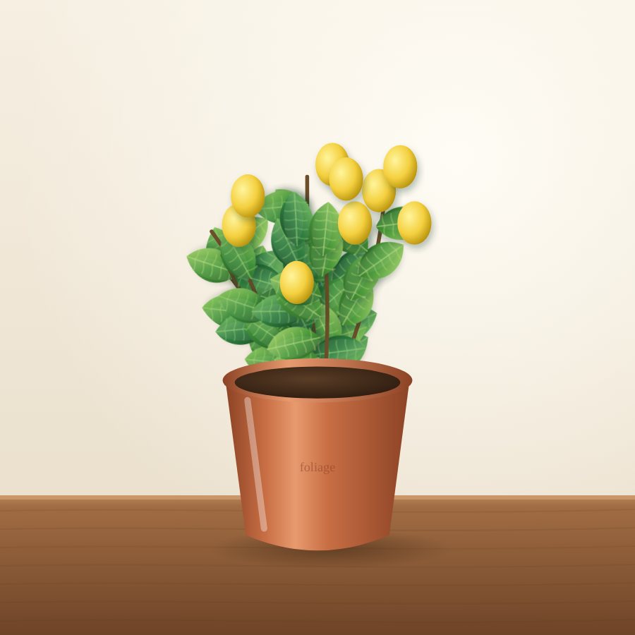 Lemon Plant (Grafted)