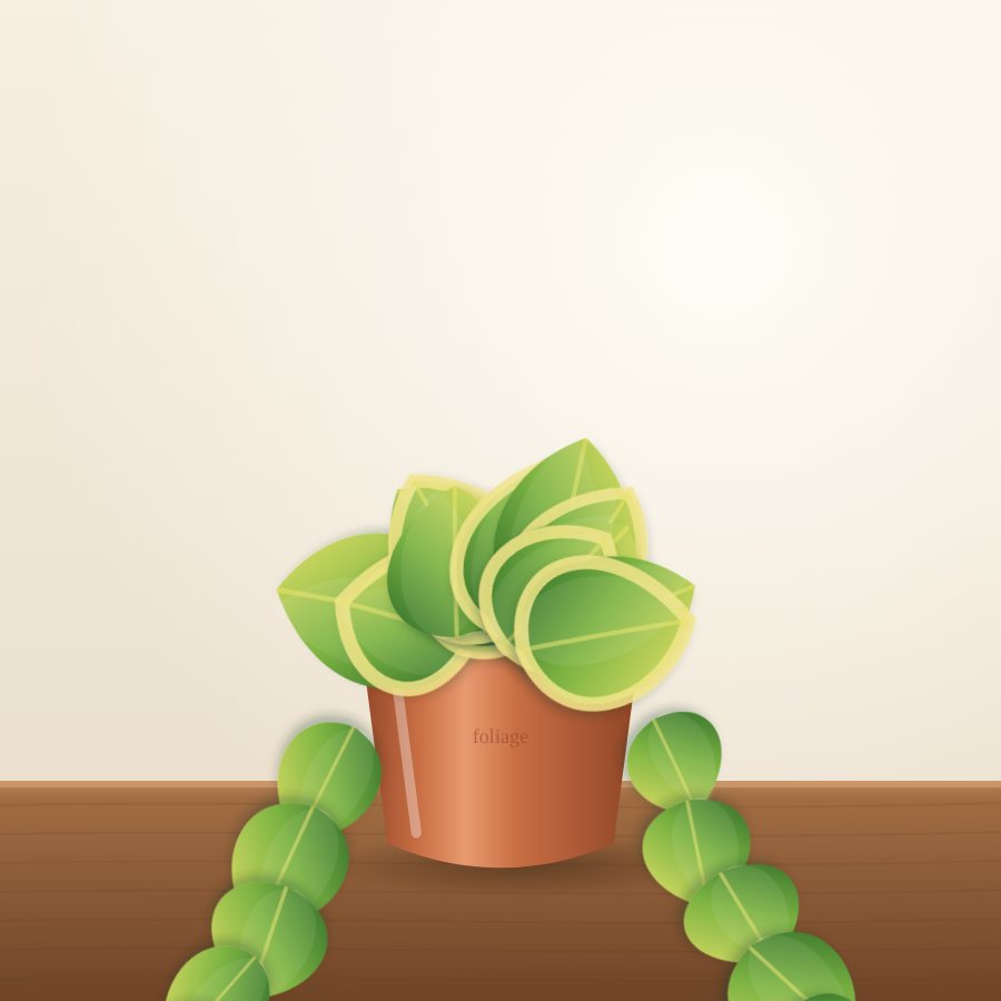 Syngonium (Arrowhead Plant)