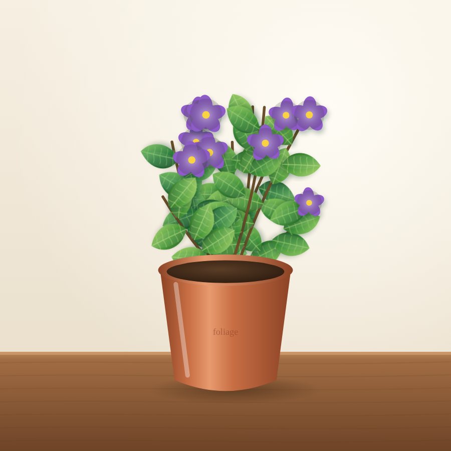 African Violet