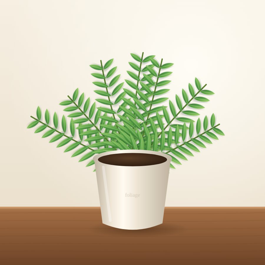 Cycas (Sago Palm)