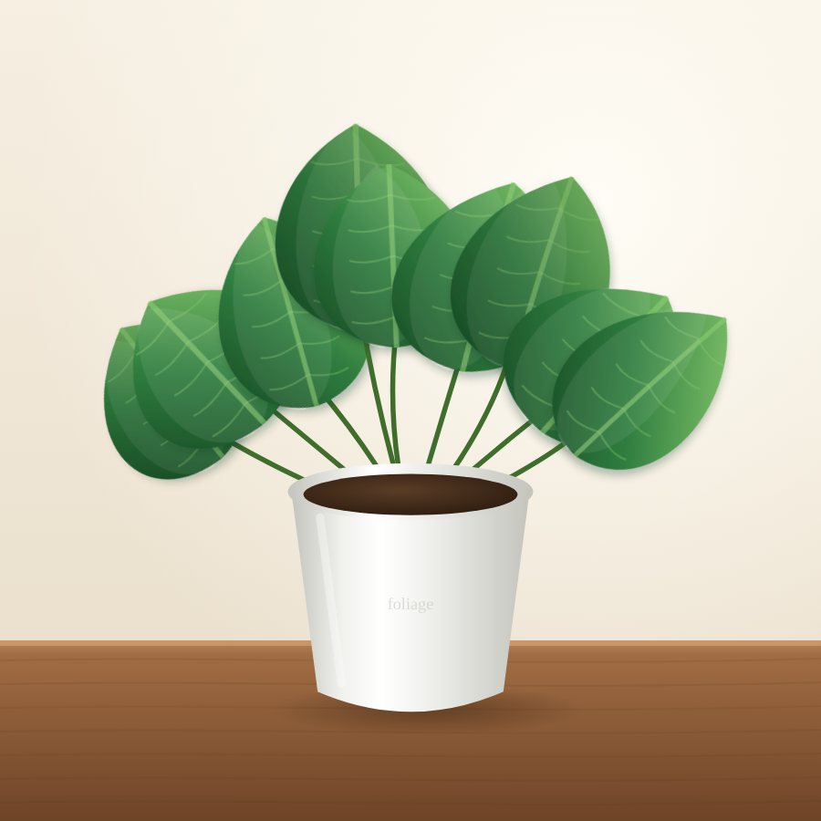Ficus Benjamina