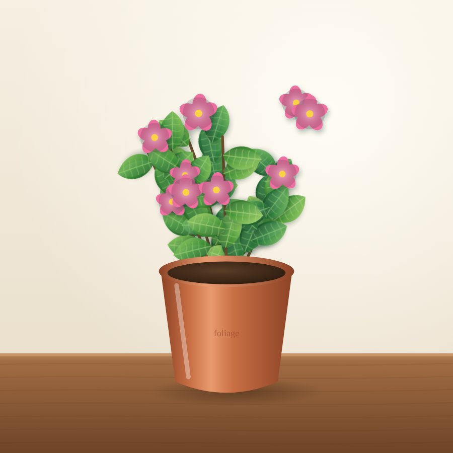 Crossandra (Aboli)
