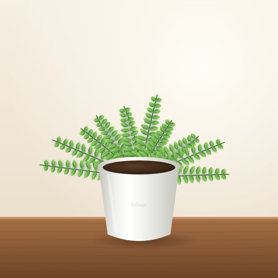 Boston Fern