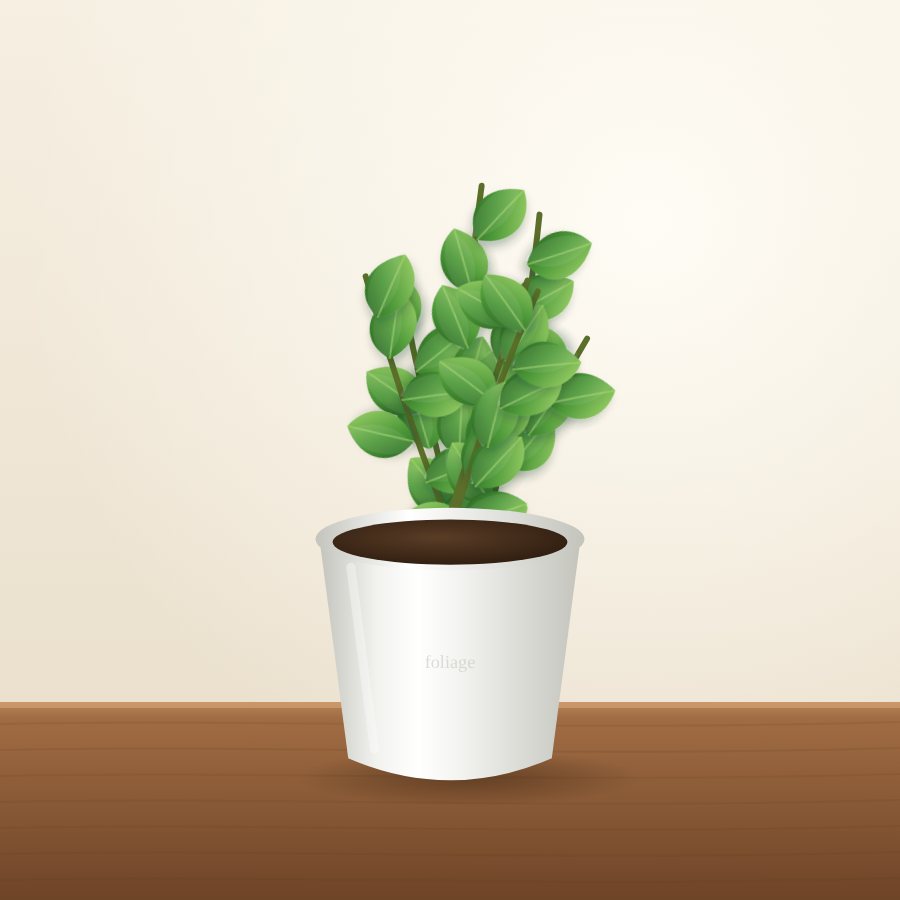 Stevia Plant